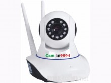 Camera IP hồng ngoại không dây 2 râu