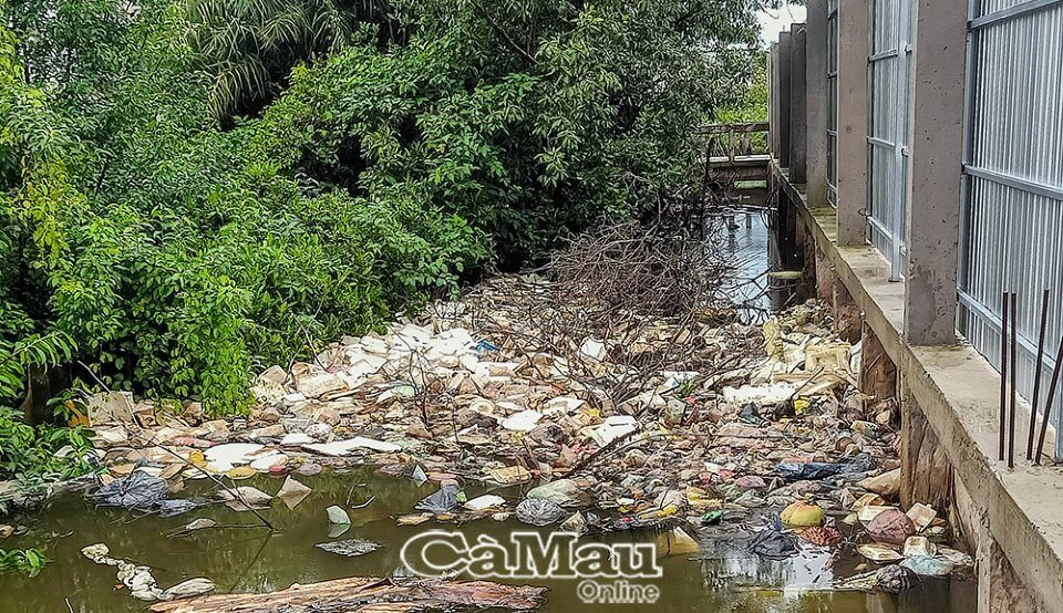 Tình trạng rác ứ đọng dưới sông đa phần do người dân chưa có ý thức mà ra. (Ảnh chụp trên địa bàn ấp Xóm Lớn, xã Lý Văn Lâm, TP Cà Mau). Ảnh: HOÀNG VŨ