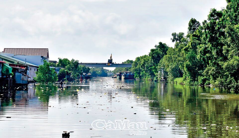 Rác ngập tràn trên sông theo dòng từ xã Tắc Vân, Phường 6 đổ về trung tâm thành phố. Ảnh: TRẦN NGUYÊN